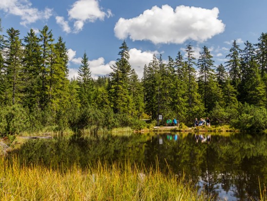 Sommerurlaub in Filzmoos - Almsee Hofalmen © Coen Weesjes